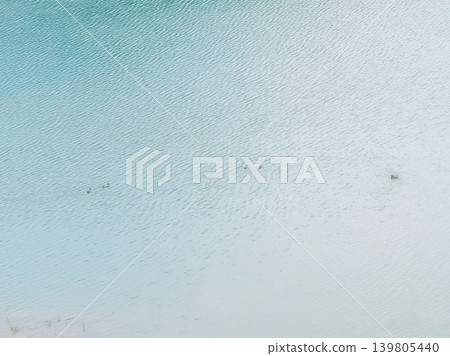 Beautiful emerald green water surface and swimming waterbirds Beautiful emerald green water surface and swimming waterbirds 139805440
