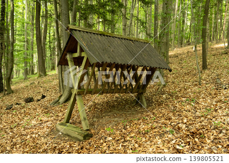 Wooden animal feeder under a roof in a deep green forest. Wooden animal feeder under a roof in a deep green forest. 139805521
