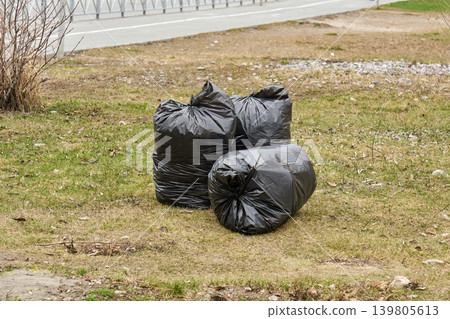 Garbage collection after spring cleaning in public park or garden Garbage collection after spring cleaning in public park or garden 139805613