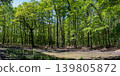 Muddy Pond In Green Forest Panoramic Landscape Muddy Pond In Green Forest Panoramic Landscape 139805872