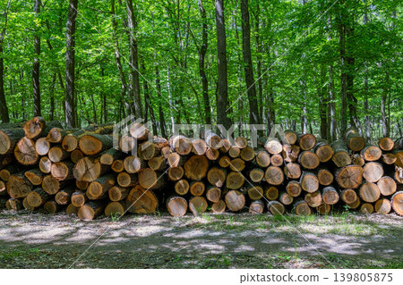 Timber Logs Pile In Green Forest Landscape 139805875
