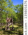 Wooden Hunting Stand In Green Forest Sunny Day Wooden Hunting Stand In Green Forest Sunny Day 139805876