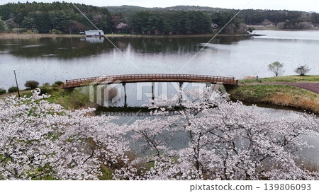 鳥瞰平津沼盛開的櫻花 鳥瞰平津沼盛開的櫻花 139806093