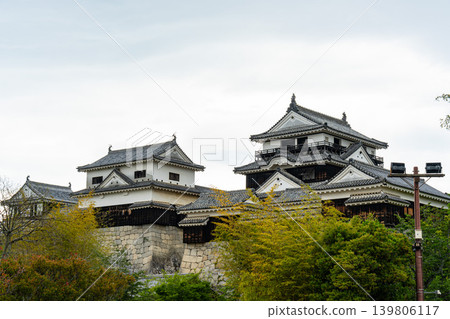 日本：愛媛郡的松山城，天空陰雲密布。 139806117
