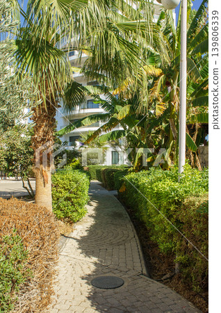 A serene pathway lined with palm trees near tropical plants on a sunny day in a coastal resort. A serene pathway lined with palm trees near tropical plants on a sunny day in a coastal resort. 139806339