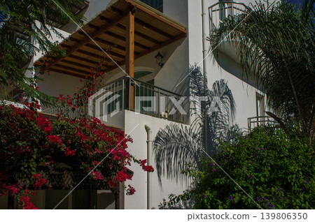 Vibrant flowers and shadows dance on a charming balcony in a sunlit garden retreat. Vibrant flowers and shadows dance on a charming balcony in a sunlit garden retreat. 139806350