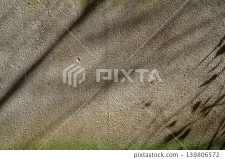 Old plaster wall texture with branch shadows Old plaster wall texture with branch shadows 139806572