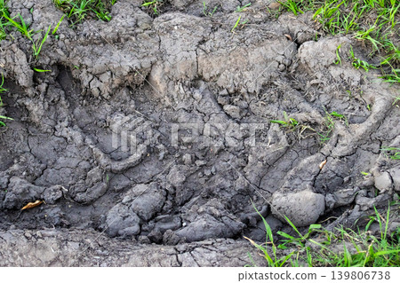 Deep tractor tire tracks and cracked dry soil in an agricultural field, bordered by fresh green grass, highlighting rugged texture and arid pampa farm landscape Deep tractor tire tracks and cracked dry soil in an agricultural field, bordered by fresh green grass, highlighting rugged texture and arid pampa farm landscape 139806738