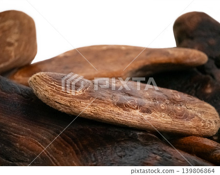 Textured driftwood collection isolated on a white background. Natural organic material for ecological design. 139806864