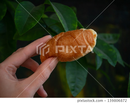 Woman holding small croissant, golden baked pastry. Freshly baked mini sweet roll for breakfast or snack food concept. Woman holding small croissant, golden baked pastry. Freshly baked mini sweet roll for breakfast or snack food concept. 139806872
