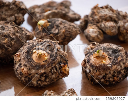 Several sprouting taro roots lay on a light brown board. Close up of edible tropical plant bulbs for agriculture. Several sprouting taro roots lay on a light brown board. Close up of edible tropical plant bulbs for agriculture. 139806927