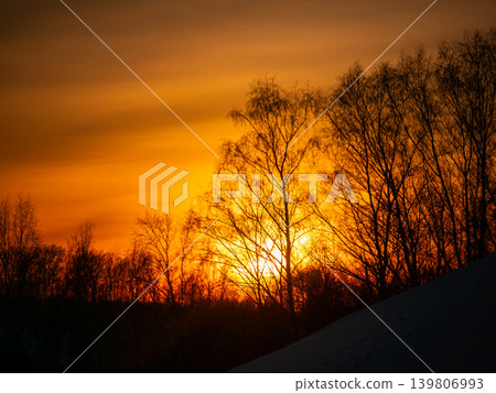 Silhouetted birch trees against fiery orange sunset over snowy hill. Warm glowing sky and barren branches in winter landscape at dusk. Silhouetted birch trees against fiery orange sunset over snowy hill. Warm glowing sky and barren branches in winter landscape at dusk. 139806993