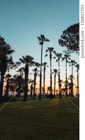 Palm trees silhouetting a Kemer resort at sunset Palm trees silhouetting a Kemer resort at sunset 139807703