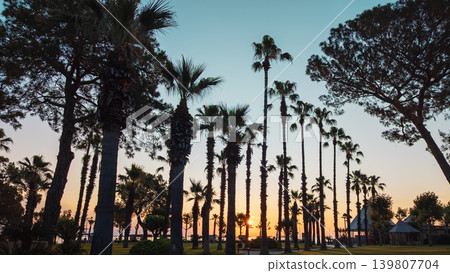 Palm trees silhouetting a Kemer resort at sunset Palm trees silhouetting a Kemer resort at sunset 139807704