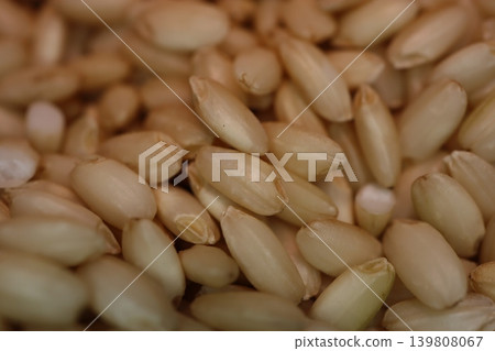 Close-up of Wheat Grains Close-up of Wheat Grains 139808067