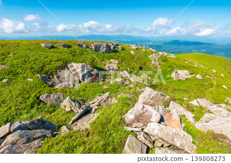 alpine grassy meadow. carpathian mountains landscape with huge boulders. alpine nature scenery of ukraine highlands in summer. view of remote place in mountains 139808273