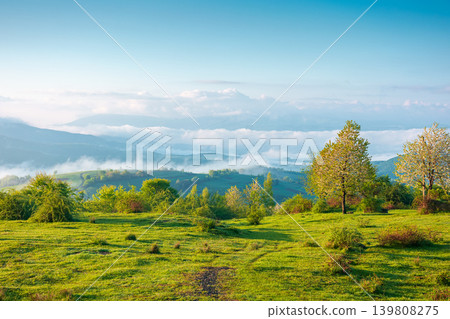 carpathian mountain landscape on a foggy morning. outdoor adventure image for stunning view of meadow in morning light. mountain field and rolling countryside valley carpathian mountain landscape on a foggy morning. outdoor adventure image for stunning view of meadow in morning light. mountain field and rolling countryside valley 139808275