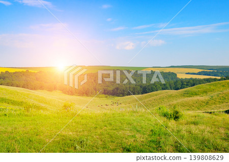 Rolling Meadows and Forest Under Bright Summer Morning Sun Flare Rolling Meadows and Forest Under Bright Summer Morning Sun Flare 139808629