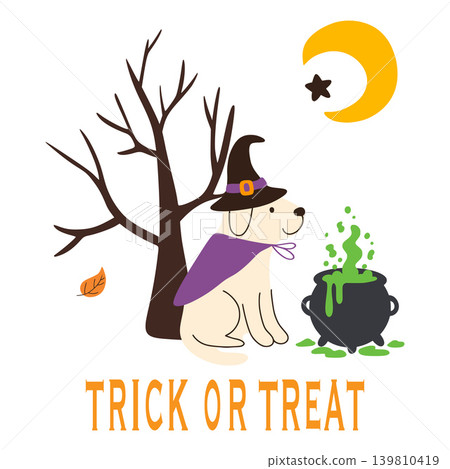 Dog wearing witch costume celebrating halloween trick or treating Dog wearing witch costume celebrating halloween trick or treating 139810419