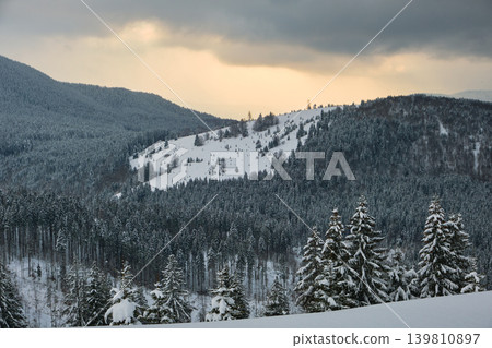 Gloomy winter landscape with mountain hills covered with evergreen pine forest after heavy snowfall on cold quiet evening. Gloomy winter landscape with mountain hills covered with evergreen pine forest after heavy snowfall on cold quiet evening. 139810897