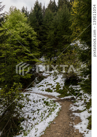 S-curve snowy forest trail in the Bavarian Alps S-curve snowy forest trail in the Bavarian Alps 139811054