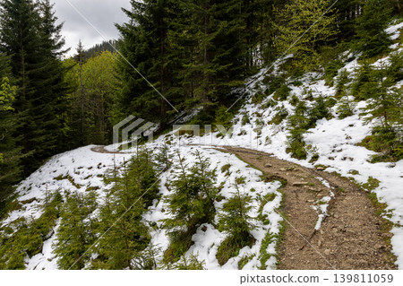 Alpine mountain trail with snow patches in Bavarian forest Alpine mountain trail with snow patches in Bavarian forest 139811059