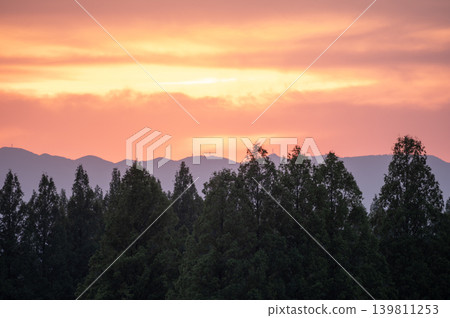夕陽西下,山脈映襯著樹木的輪廓 夕陽西下,山脈映襯著樹木的輪廓 139811253