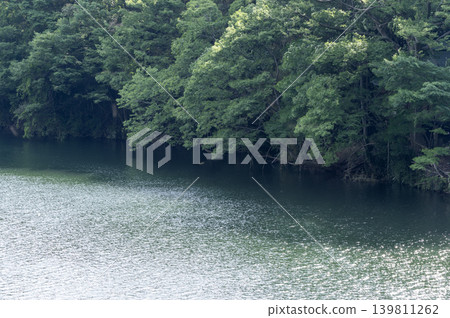 A view of the Arakawa River in Nagatoro Town, Saitama Prefecture, surrounded by fresh greenery. A view of the Arakawa River in Nagatoro Town, Saitama Prefecture, surrounded by fresh greenery. 139811262