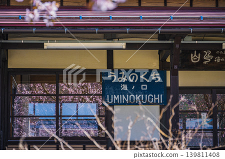 [Uminokuchi Station] Cherry blossoms reflected in the window glass [Omachi City] 139811408