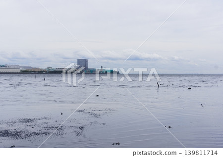 Edogawa, Ichikawa City, Chiba Prefecture, May 2026 139811714