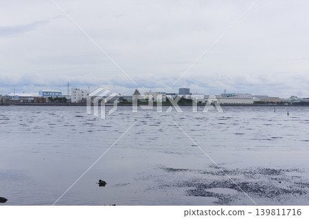 2026年5月，千葉縣市川市江戶川 139811716