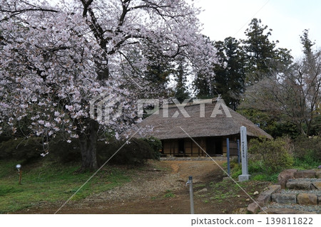 Akuzawa family Akuzawa family 139811822