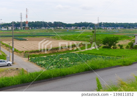 View from Edogawa, Matsudo City, Chiba Prefecture, May 2026 View from Edogawa, Matsudo City, Chiba Prefecture, May 2026 139811852