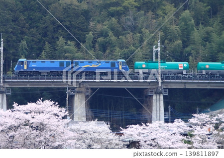清晨,一列由 EH200-12 型機車牽引的貨運列車駛入中央東線,下方盛開的櫻花為其送行。 清晨,一列由 EH200-12 型機車牽引的貨運列車駛入中央東線,下方盛開的櫻花為其送行。 139811897