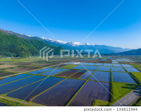 【無人機空拍】白馬村初夏：綠意盎然，水面波光粼粼【長野縣】 139811994