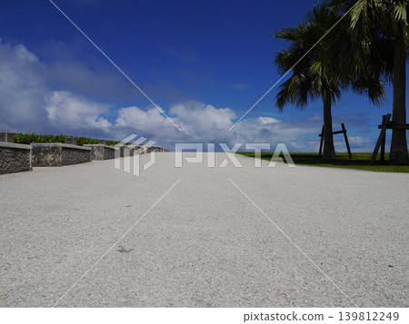 A low-angle view of the seaside promenade and palm trees on Senaga Island, Tomigusuku City, Okinawa Prefecture. A low-angle view of the seaside promenade and palm trees on Senaga Island, Tomigusuku City, Okinawa Prefecture. 139812249