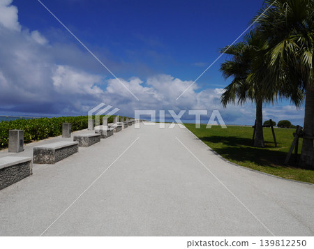 A seaside promenade lined with stone benches and palm trees on Senaga Island, Tomigusuku City, Okinawa Prefecture. 139812250