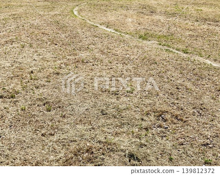 草地和一條小路 草地和一條小路 139812372