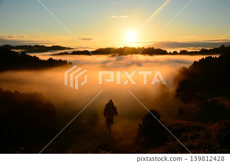 Gamou Rice Terraces Sea of Clouds Gamou Rice Terraces Sea of Clouds 139812428