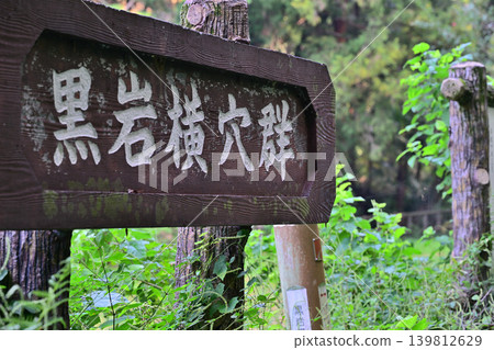 Lake Hatcho, Kuroiwa Yokoana, Yoshimi Town, Saitama Prefecture 139812629