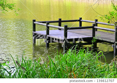 Quiet Hachijo Lake, Yoshimi Town, Saitama Prefecture 139812707