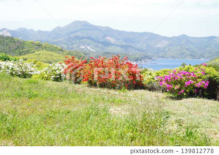 從沖繩岬地區看到的景色 從沖繩岬地區看到的景色 139812778
