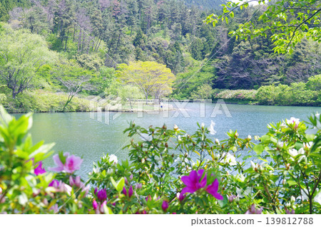 沖之島町龜原池的景色 沖之島町龜原池的景色 139812788
