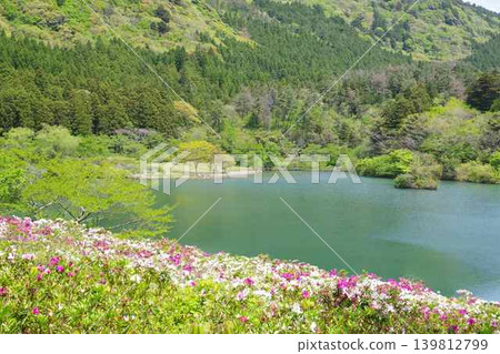 Scenery of Kamehara Pond in Okinoshima Town Scenery of Kamehara Pond in Okinoshima Town 139812799