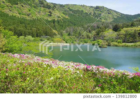 沖之島町龜原池的景色 沖之島町龜原池的景色 139812800
