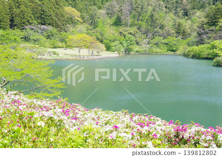 沖之島町龜原池的景色 139812802