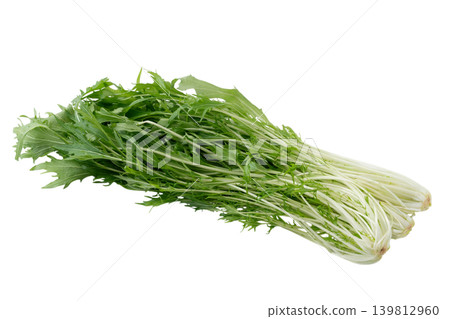 Mizuna (Japanese mustard greens) on a transparent background (png) Mizuna (Japanese mustard greens) on a transparent background (png) 139812960