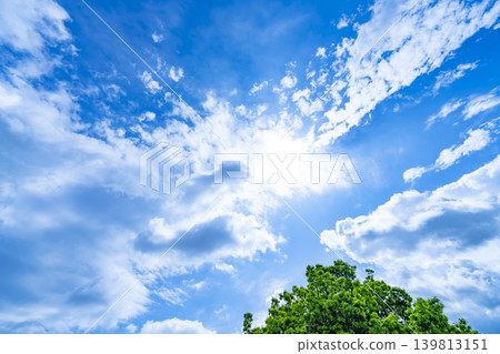 藍天和雲彩和樹 藍天和雲彩和樹 139813151