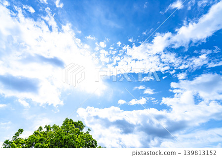 藍天和雲彩和樹 藍天和雲彩和樹 139813152