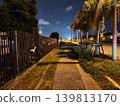 Night trail 139813170